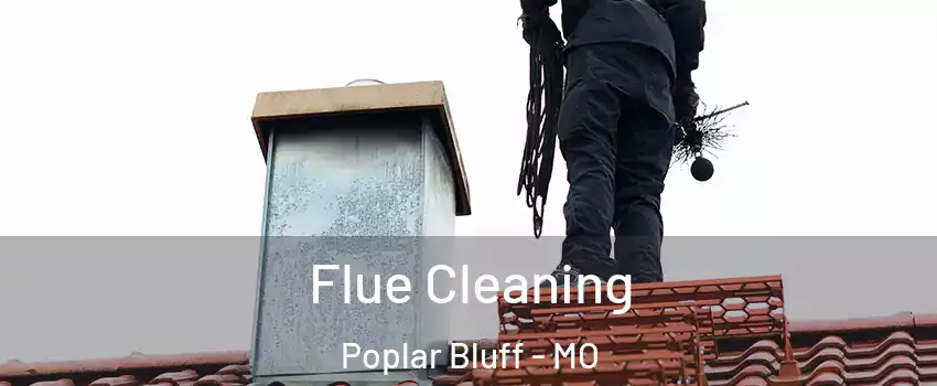  Flue Cleaning Poplar Bluff - MO
