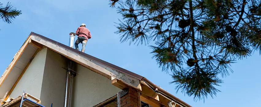 Birds Removal Contractors from Chimney in Poplar Bluff, MO